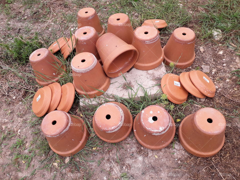 terracotta flower pots