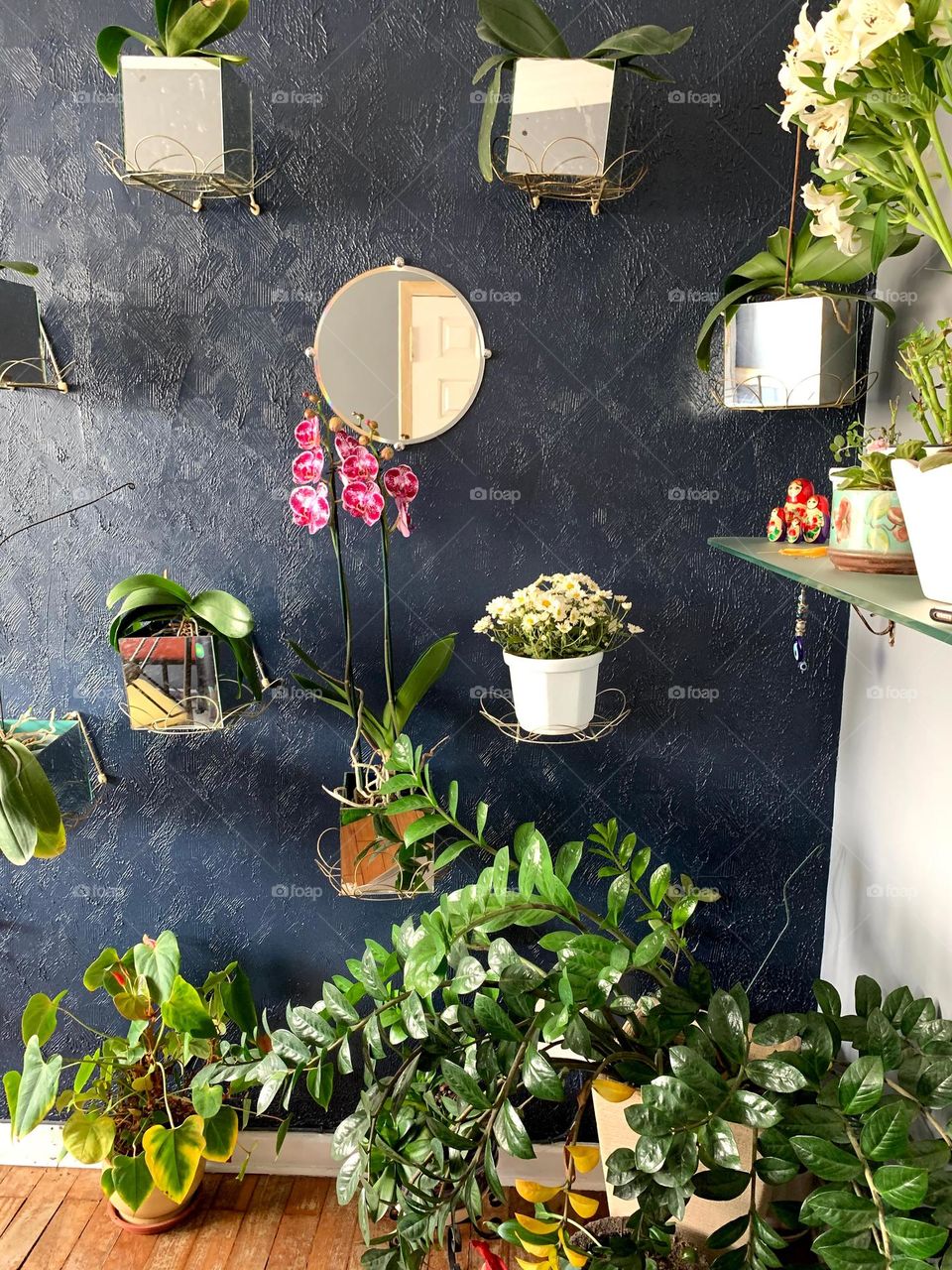 Home decor with plants