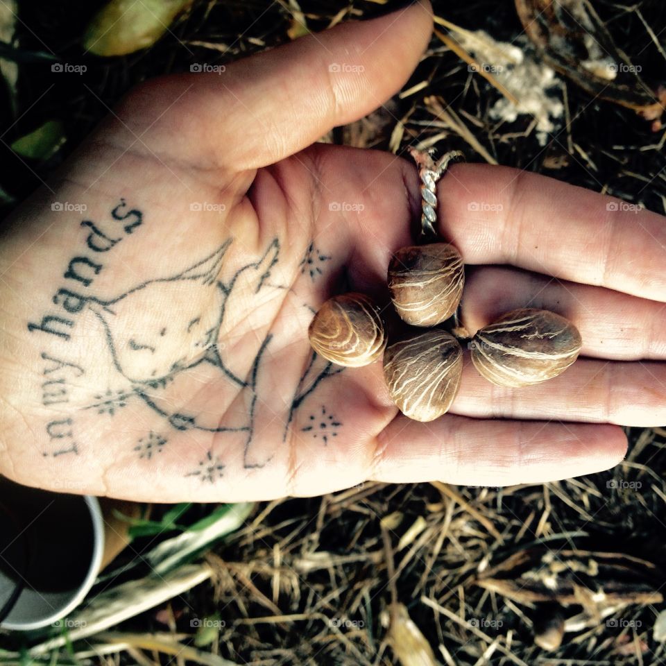 Hand, Nature, Growth, Little, Environment