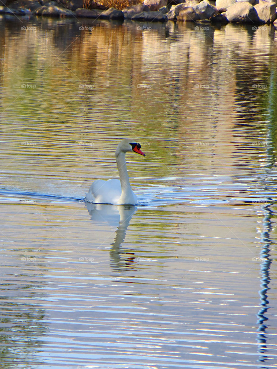 Graceful rippling