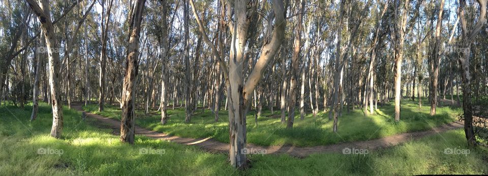 Springtime hiking 