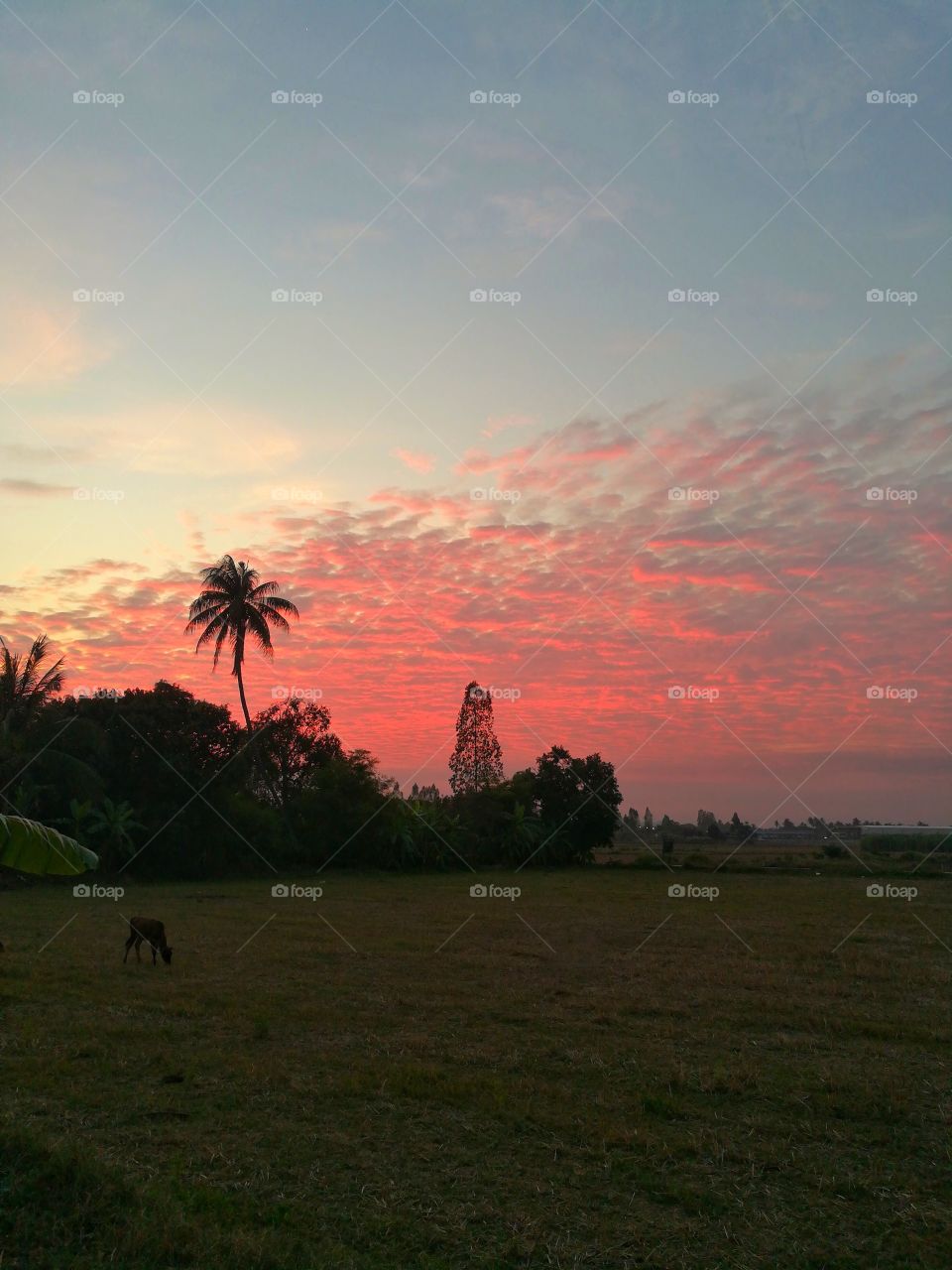 Beautiful sky sunset at countryside.