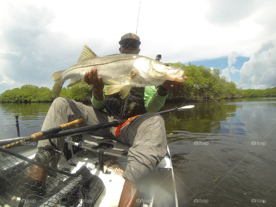 Loxahatchee Snook