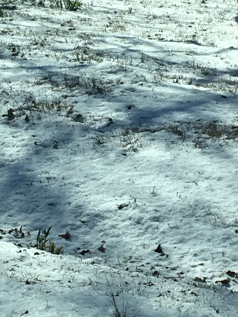 Thought spring was on its way but doesn’t look like it does it? A dusting of the white stuff!