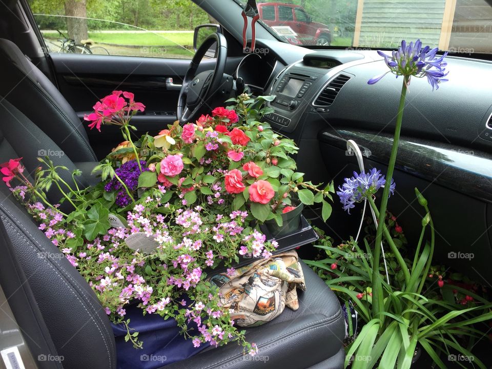 I love flowers shopping 