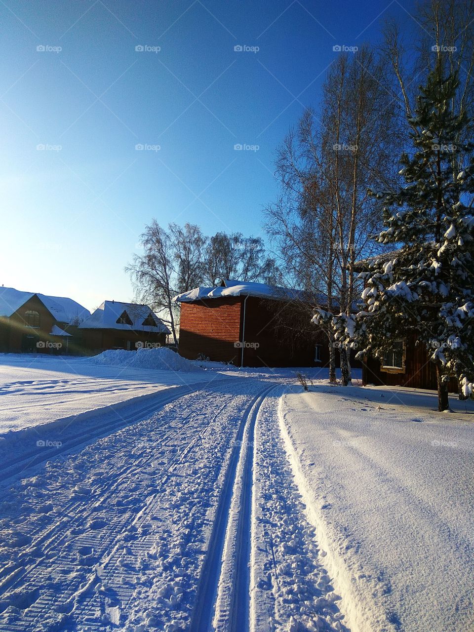 Rural winter landscape with wooden houses and road