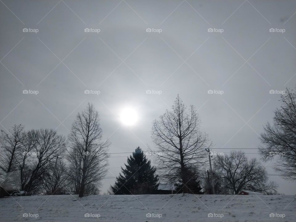 Winter Sun Halo