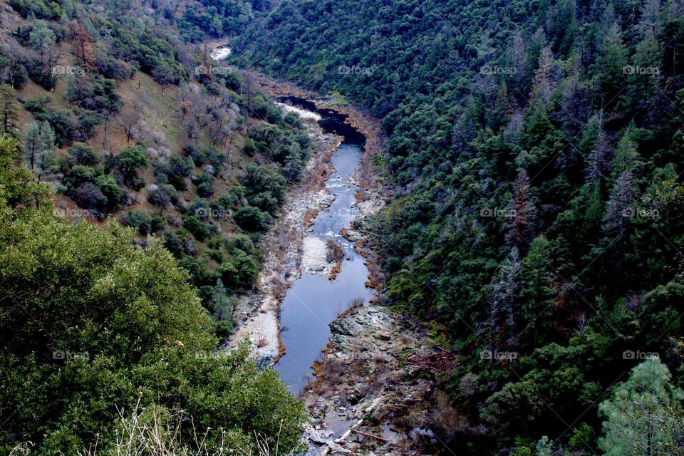 Wild running river 