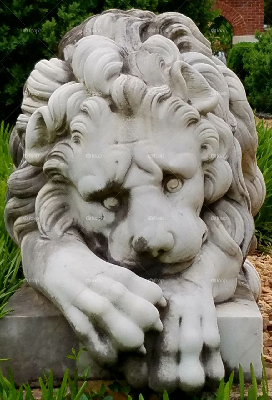 Majestic Marble Lion