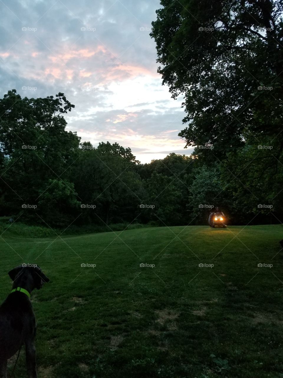 Sunset grass cutting