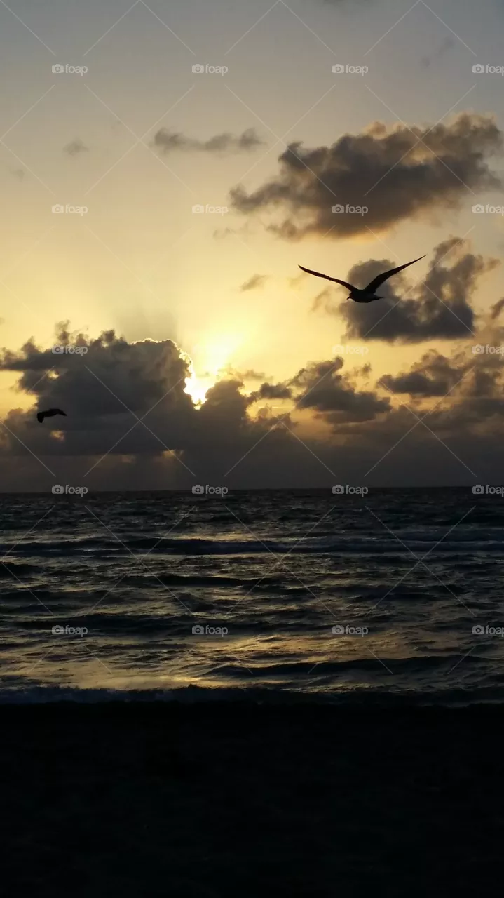 sunset