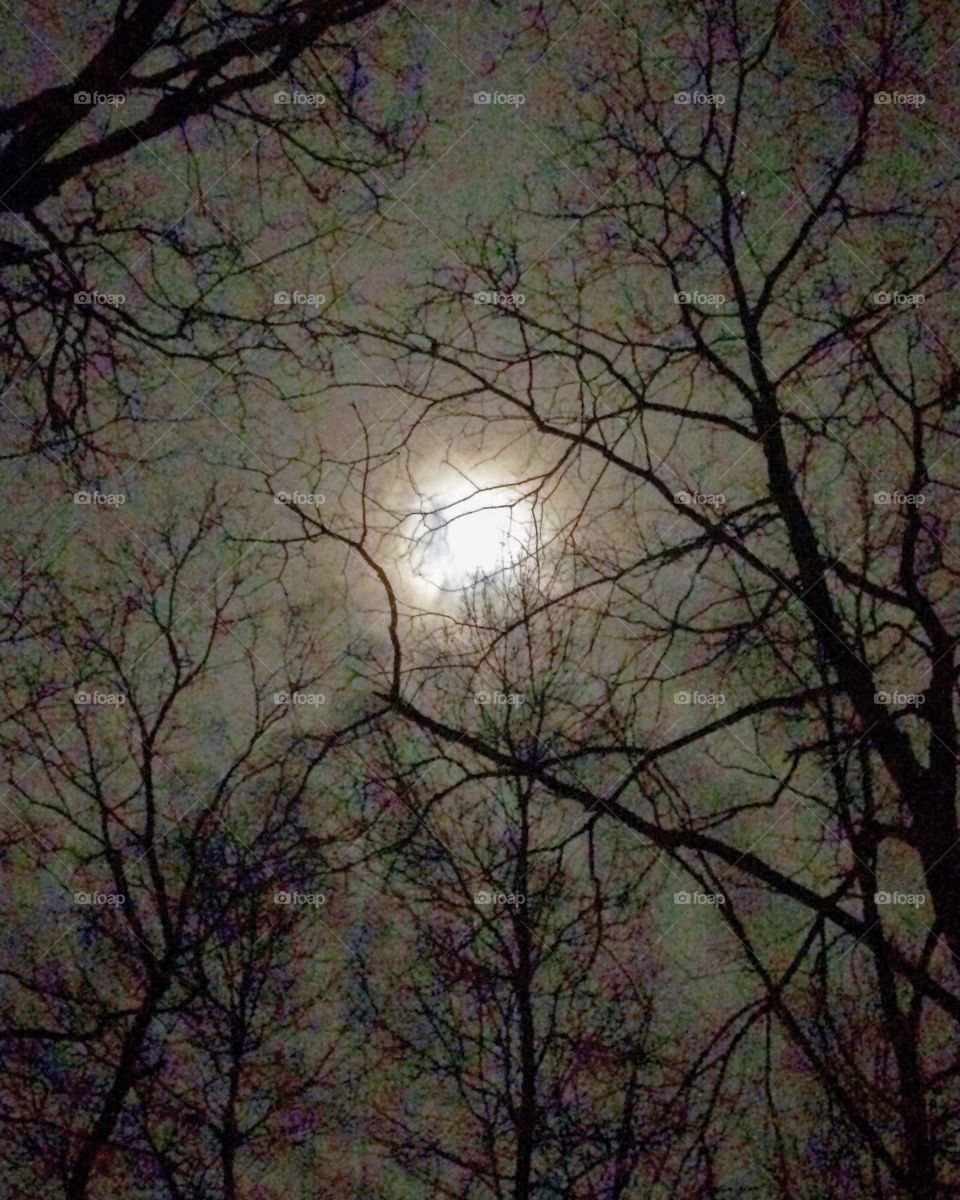 Ominous Moon