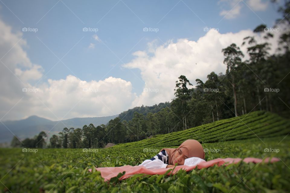 morning view in tea plantation