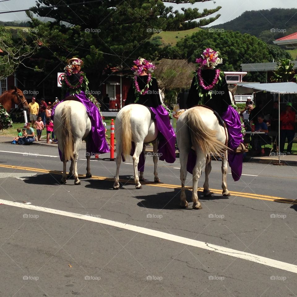 Paniolo parade and the beauty of Hawaiian Cowboys and Cowgirls.