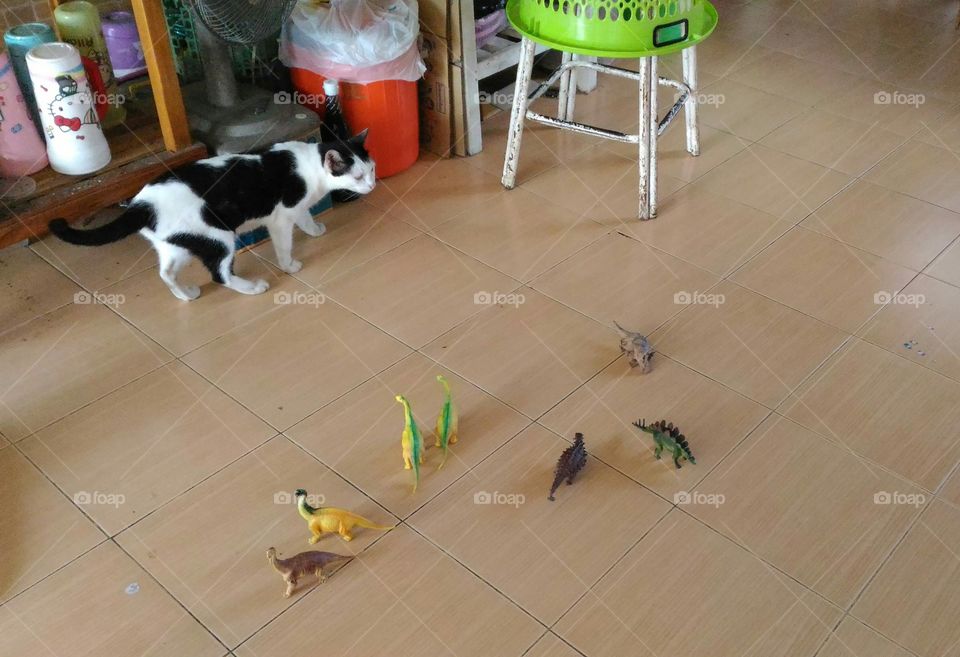 Cat VS Dinosaurs