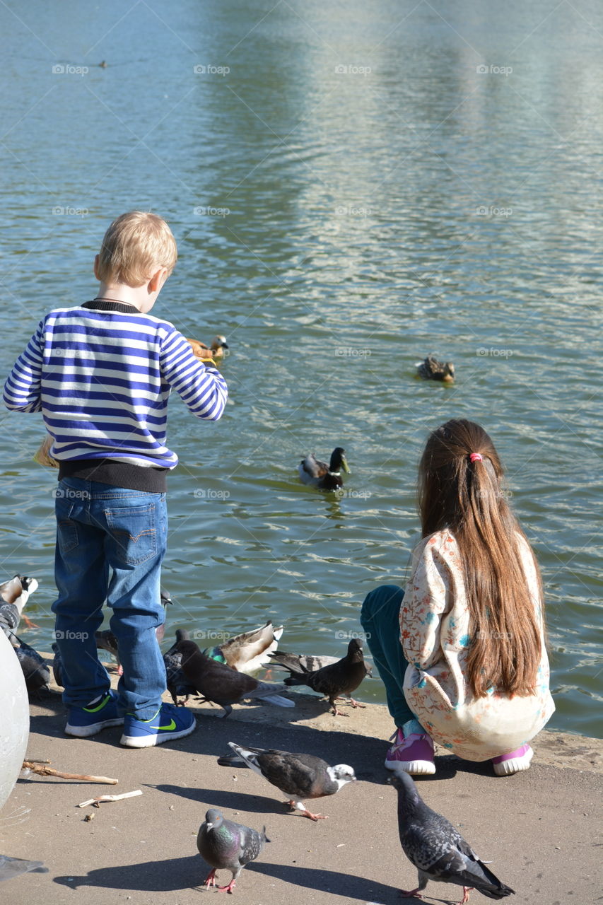 Water, Child, River, Bird, Duck