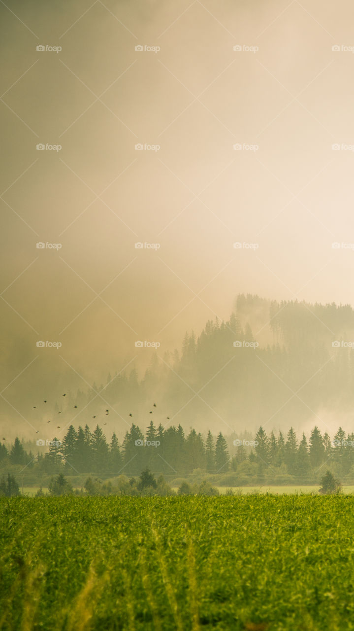 An inspiring mountain landscape. Tatry mountains in Slovakia. A beautiful wallpaper for smartphone screen. Warm summer haze, abstract gradient with perspective.