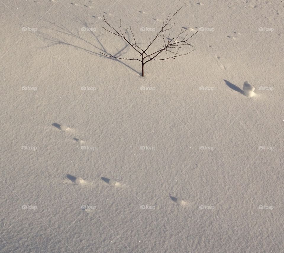 Winter in Norway. Simplicity
