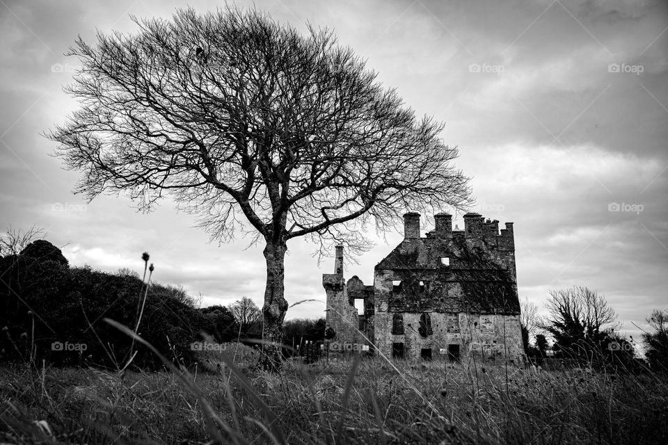 Towering above the Ruins 