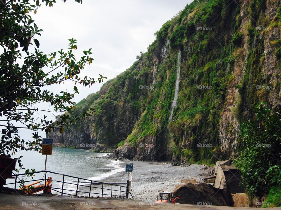 Madeira Island! 🏝