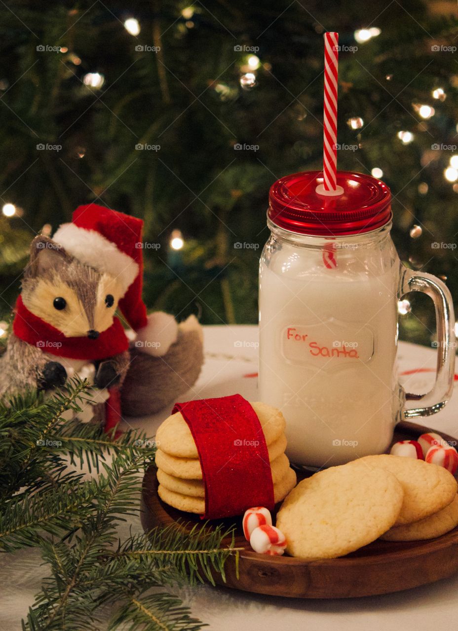 Christmas cookies and milk for Santa 