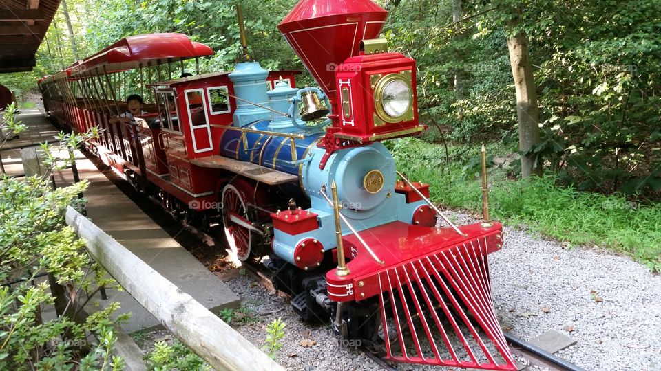 Burke Lake Park Train