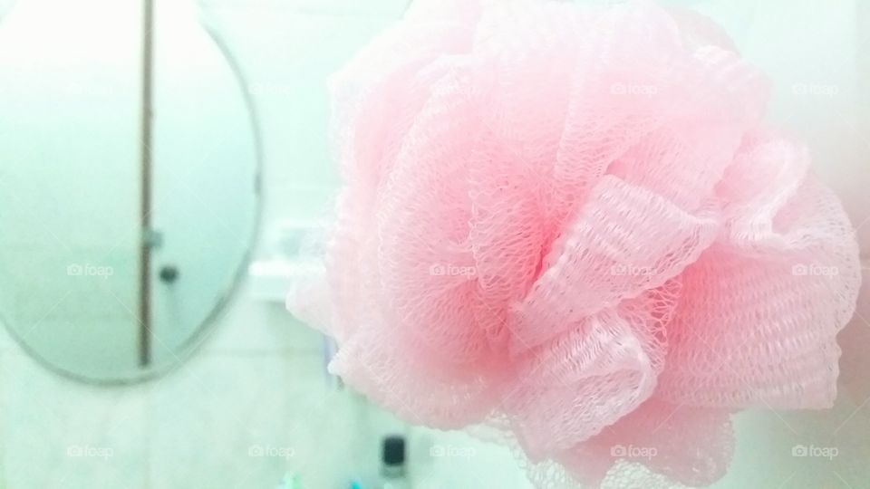 Pink Sponge