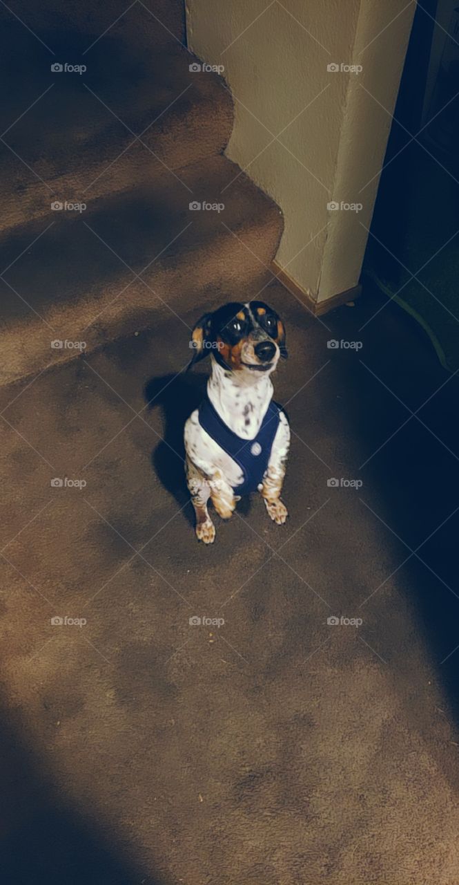 Give me what you got! I know you got man Give the goods to me!