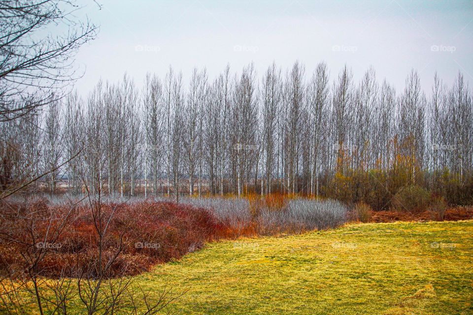 Countryside landscape