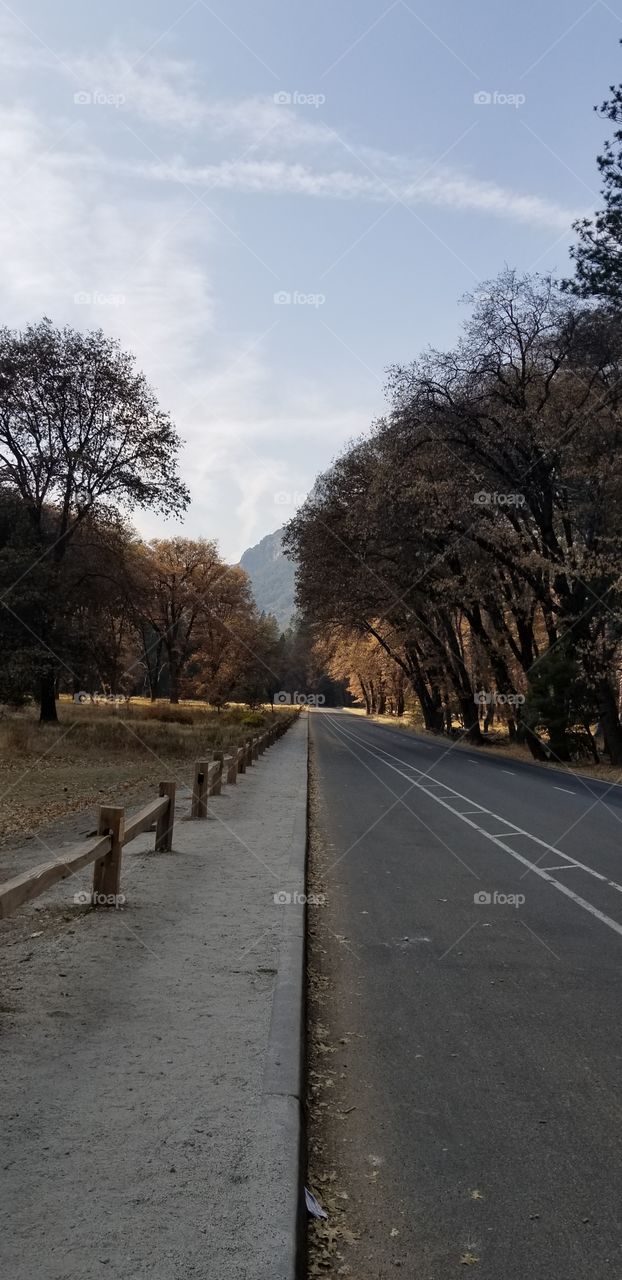 Road Through Yosemite