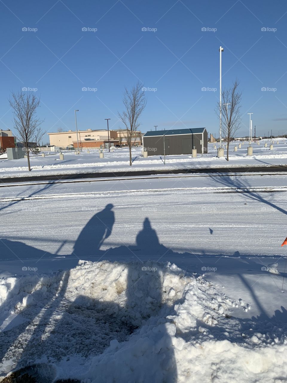 Spring shadows in the snow 