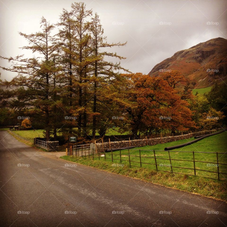 Autumn in the hills . The Pennines in the Lake District, England 