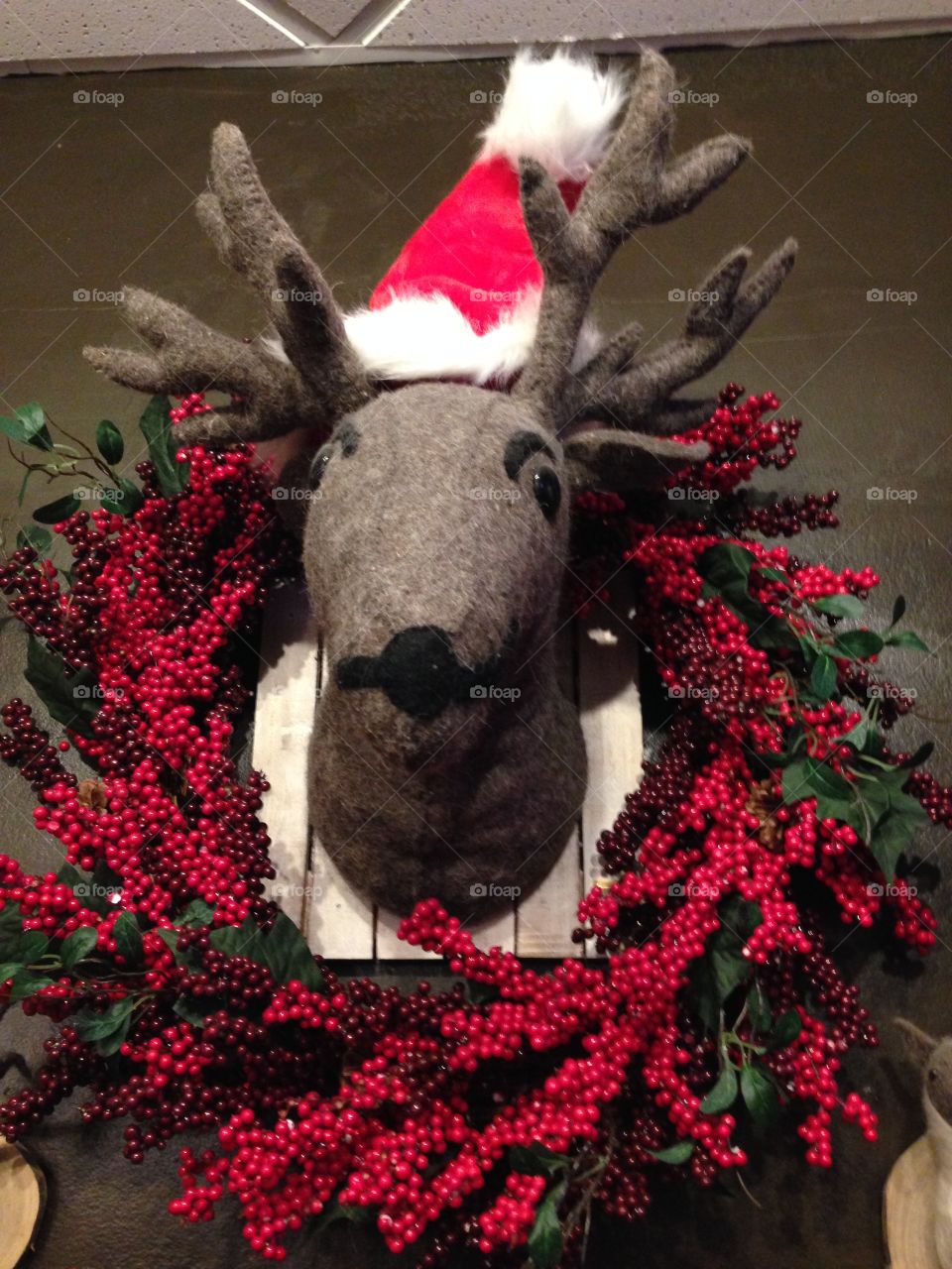 Not Rudolph

Published by:
HappyBrownMonkey 