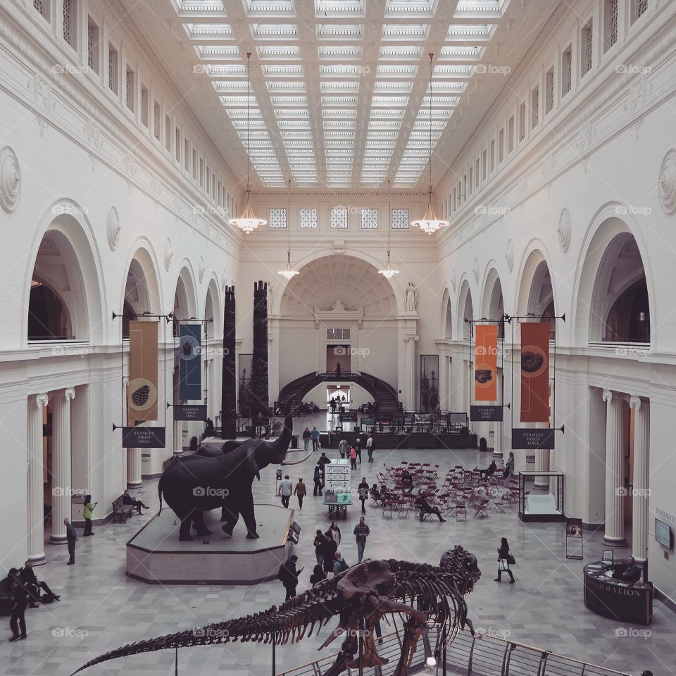 Chicago Museum of Natural History