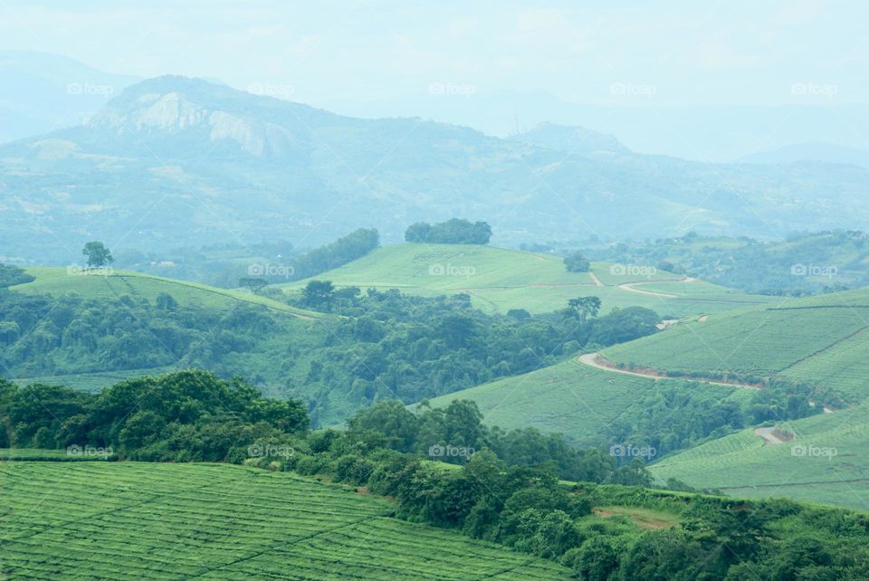 A green and blue landscape 