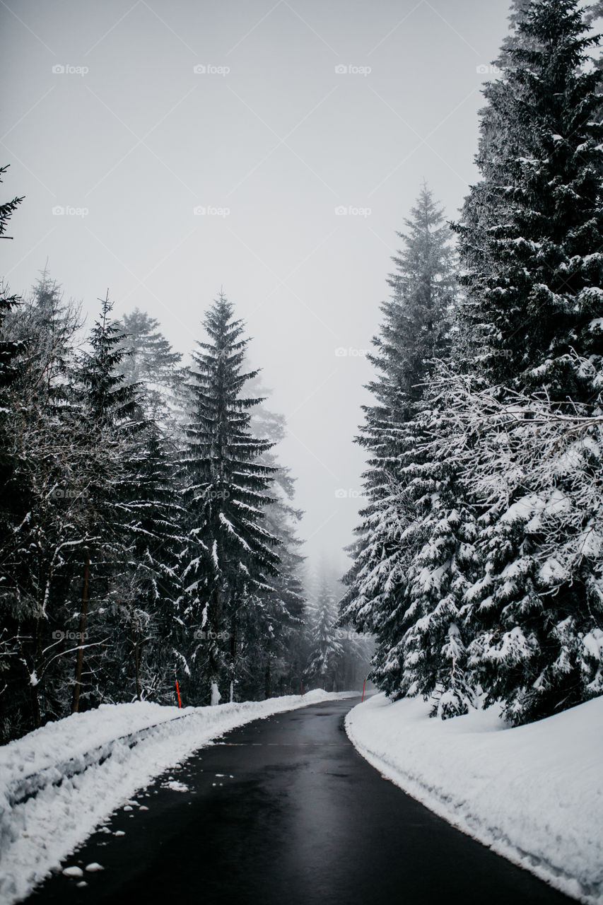 Walking into winter wonderland