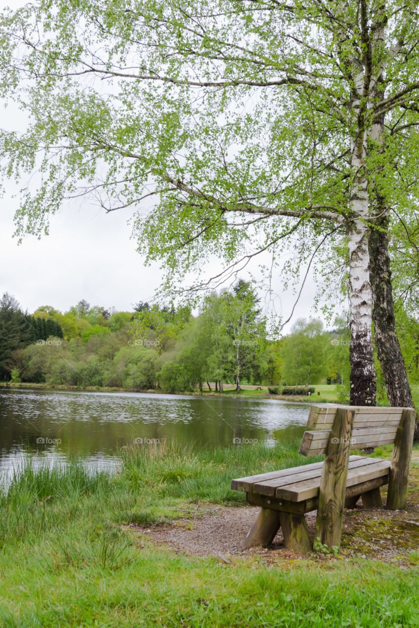 Le banc des penseurs . Banc au bord d'un lac 