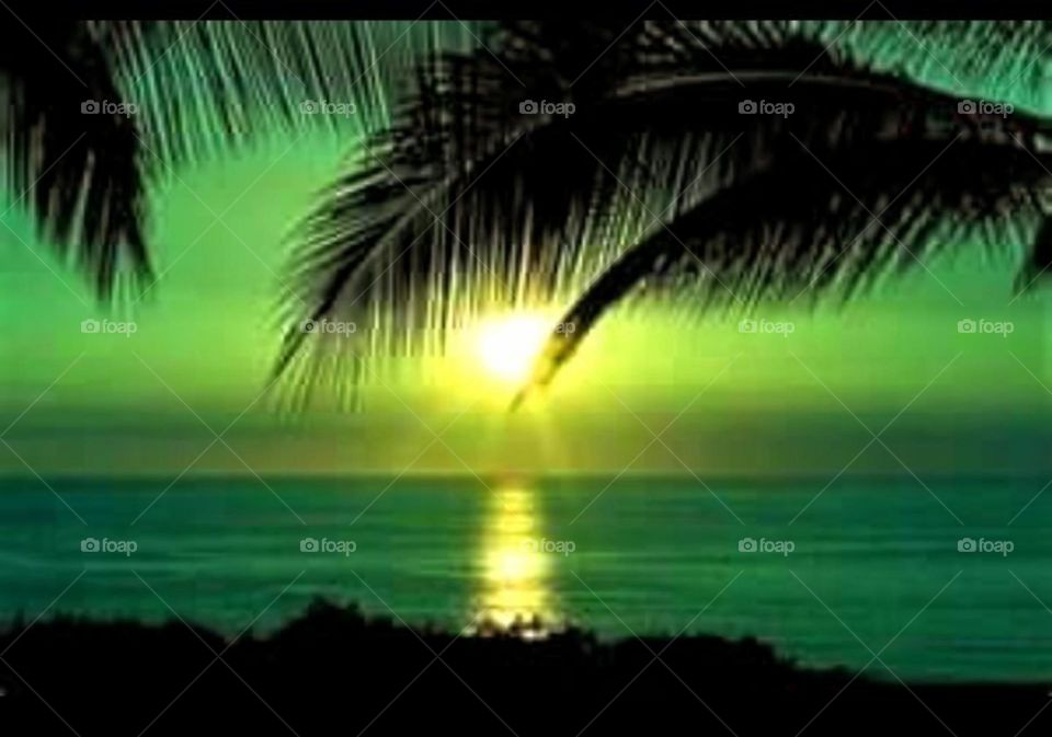 Sunset photography at Beache