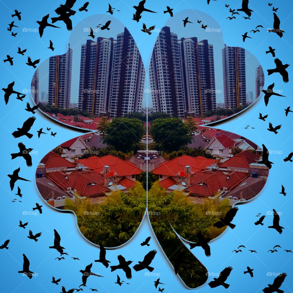 The edited photo depicts a building with a flower frame surrounded by birds 17 oktobr 2019