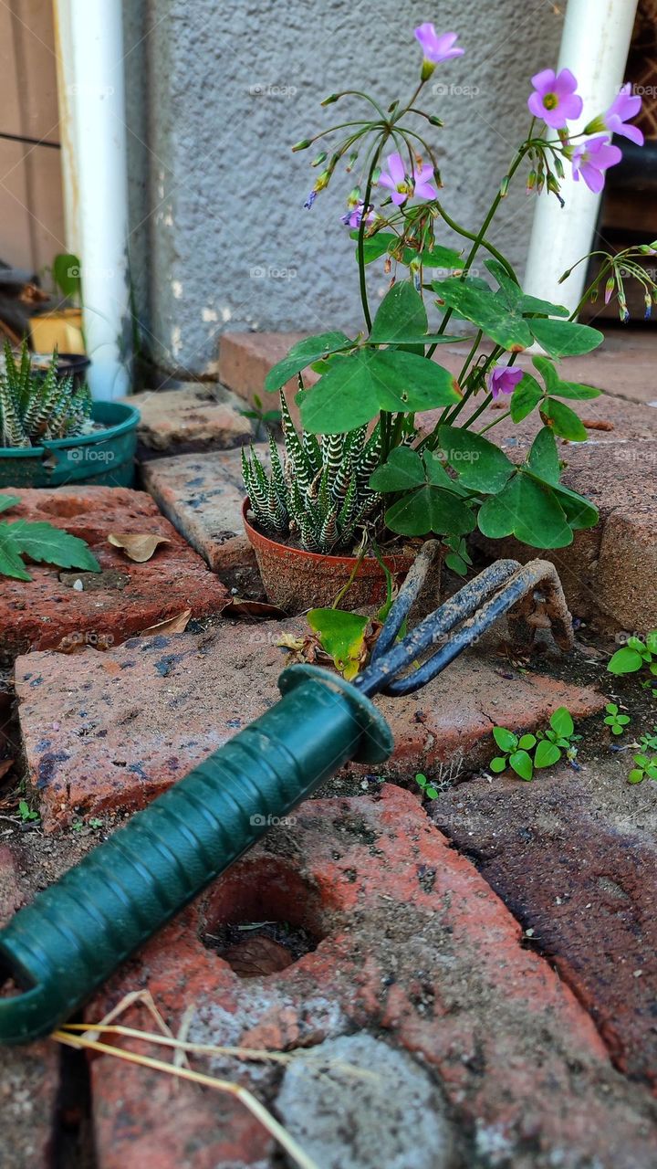 Gardening