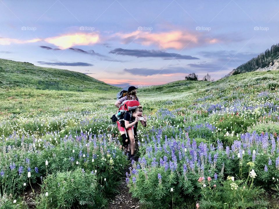 On a backpacking trip up Mt Timpanogos, we were blessed with the most beautiful sea of wildflowers 