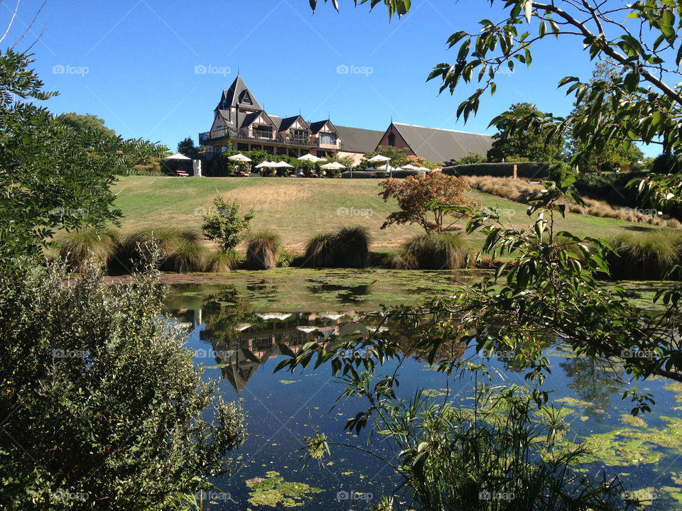 Garden of a vineyard in Waipara, New Zealand.