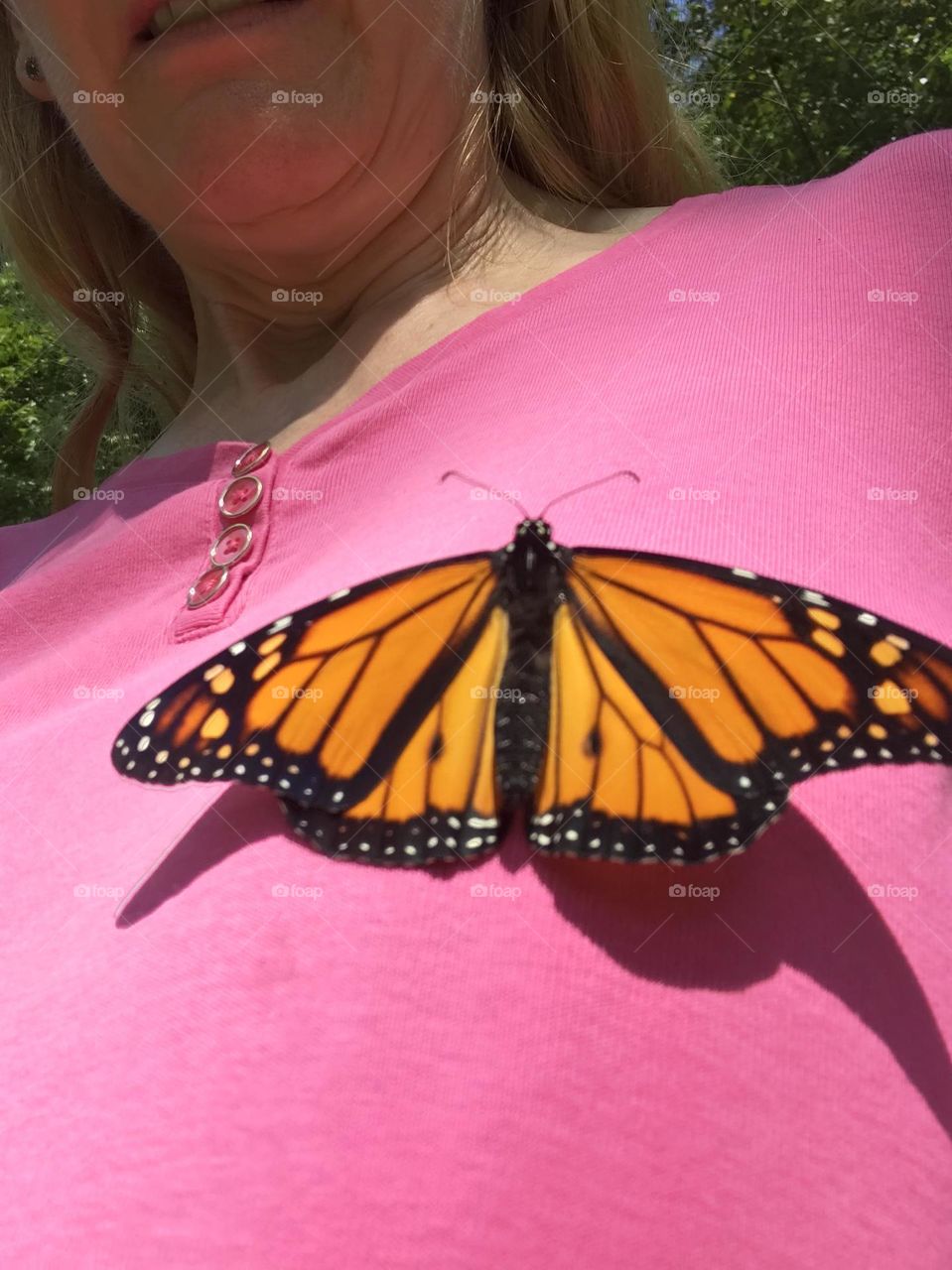 Monarch butterfly landing in a woman’s pink shirt 