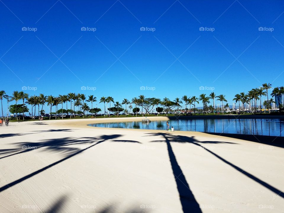 Shadow of palm trees on idyllic beach