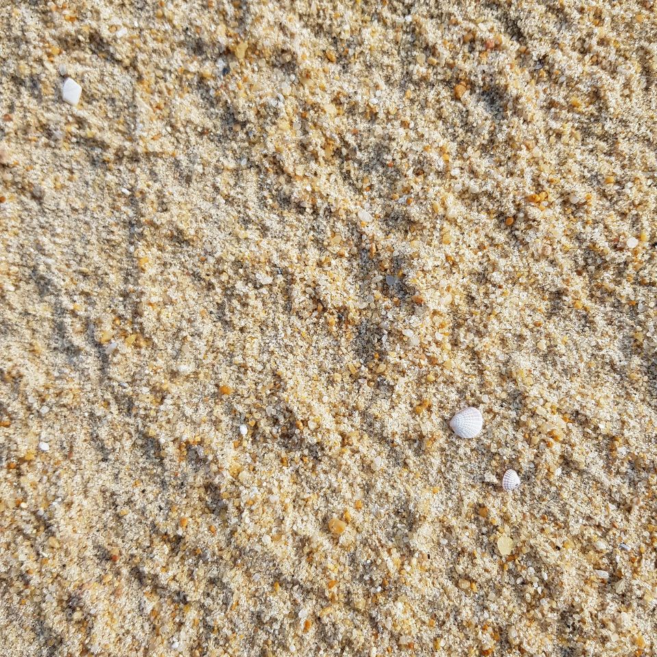 Sand dune at sandy beach