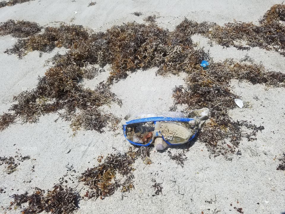 Washed Up Goggles on the Beach