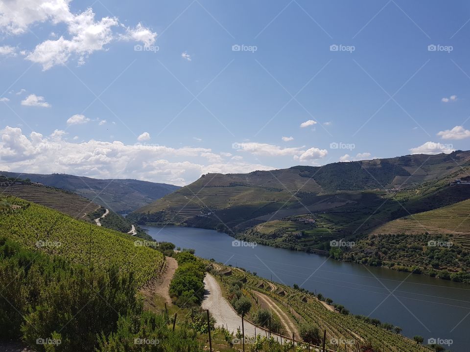 Douro Vinhateiro