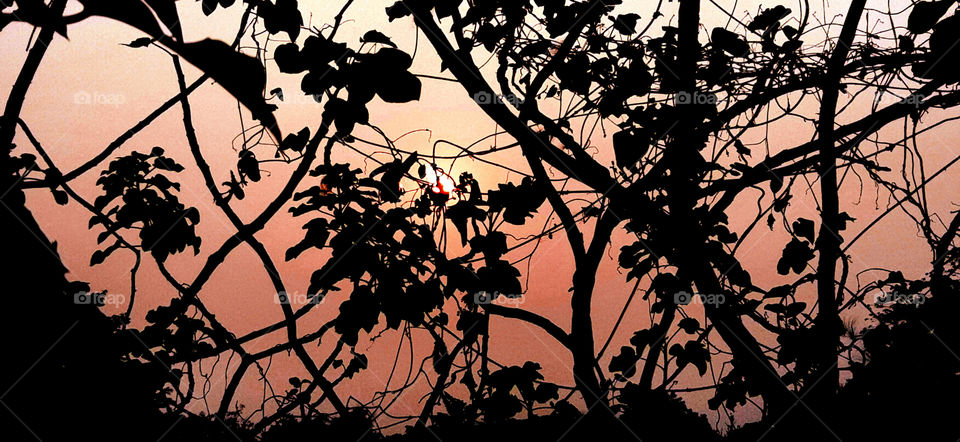 End of the day.A beautiful sunset captured.