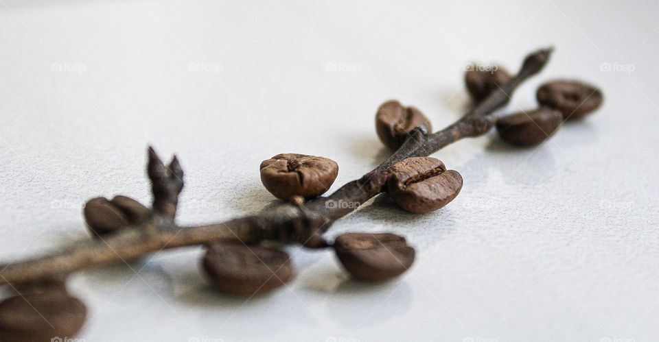 coffee beans