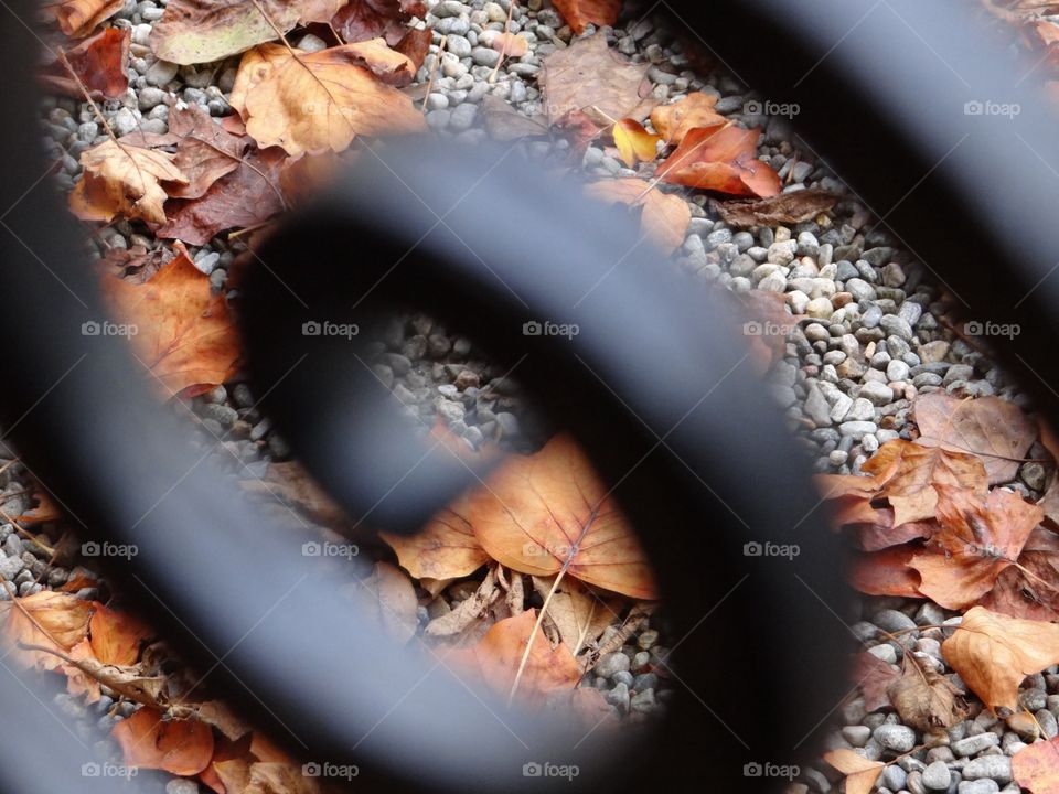 I took this photo while strolling during an autumnal day. The dead leaves always amazed me, but they can look so banal in a picture. So I covered them with this gate swirl and suddenly they were the queens of the pic. Sometimes covering is showing
